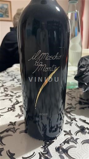 Marken Rosso Piceno Il Maschio da Monte 2022