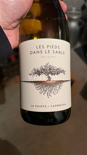 Aquitaine et Charentes Landes La Pointe Les Pieds dans le Sable 2024