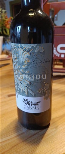 Bordeaux Cadillac-Côtes-de-Bordeaux Château Carsin Noire 2021