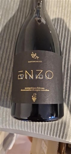 Abruzzo Montepulciano d'Abruzzo Cantine Mucci Enzo Senza annata