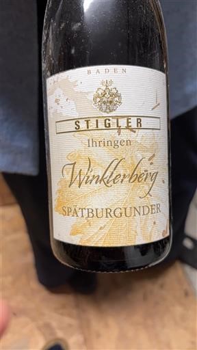 Baden Stigler Winklerberg 2012