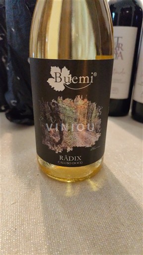 П'ємонт Ербалуке ді Калузо або Калузо Buemi Radix 2023