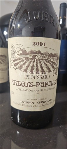 Жура Арбуа-Пюп'єн Overnoy-Crinquand Ploussard 2001