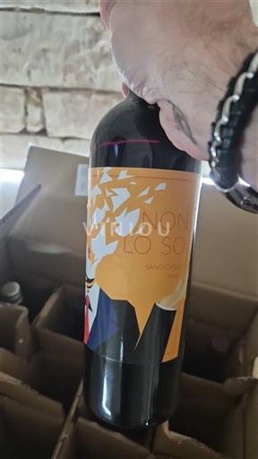 Toscana Non Lo So 2024