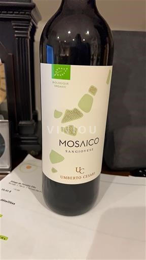 Emilia-Romagna Rubicone Umberto Cesari Mosaico 2024