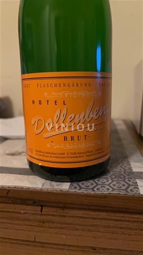 Bádensko Hotel Dollenberg Neročník