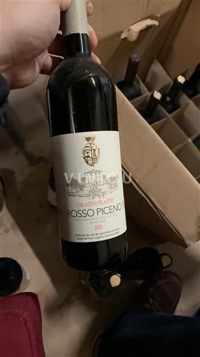 Marke Rosso Piceno Saladini Pilastri 2003