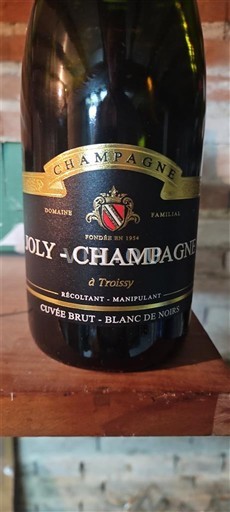 Champagne Champagner Joly-Champagne Brut - Blanc de Noirs Ohne Jahrgang