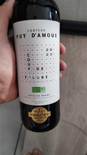 Bordeaux Côtes-de-bourg Château Puy Amour Coup de Foudre 2022