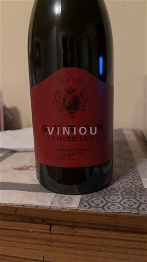 Alpit ja Rhônen maat Rhodanien rinteet Domaine David Léo 2019