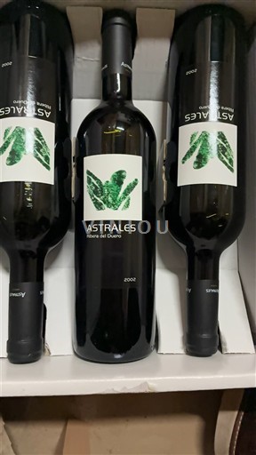 Castile and León Ribera del Duero Astrales 2002