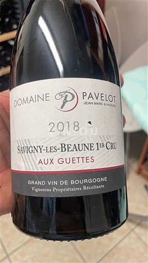 Burgundy Not Specified Premier Cru Domaine Pavelot Aux Guettes 2018