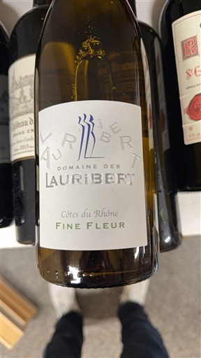 Rhône Valley Côtes-du-Rhône Domaine S Lauribert Fine Fleur Non-Vintage