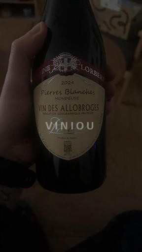 Alpi e Paesi Rodaniani Vini degli Allobrogi Domaine Lorbet Pierres Blanches Monpeu 2024