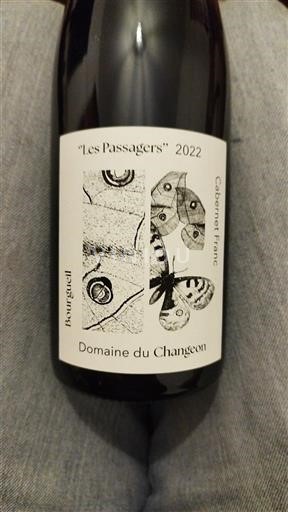 Loire-dalen Bourgueil Domaine Changeon Les Passagers 2022