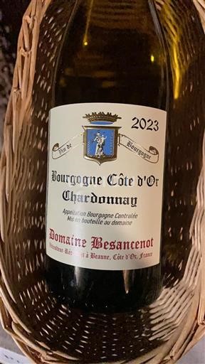 Bourgondië Bourgogne Côte d'Or Domaine Besancenot Chardonnay 2023