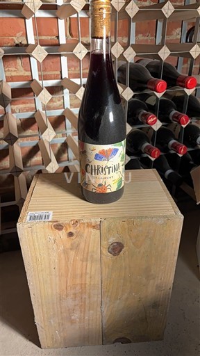 Нижня Австрія Карнунтум Christina 2022