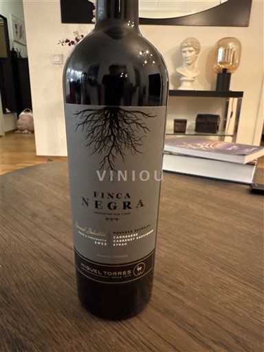 Thung lũng Maipo Maipo Central Miguel Torres Finca Negra 2022