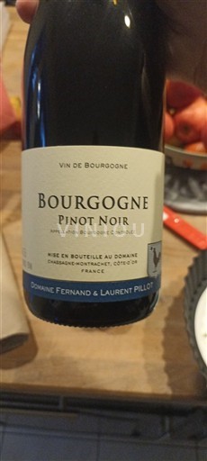 Bourgogne Domaine Fernand & Laurent Pillot 2022