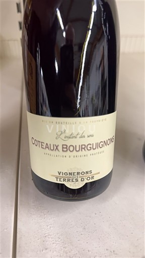 Bourgondië Bourgondische heuvels Vignerons Terres d'Or L'Intensité des Sens 2023