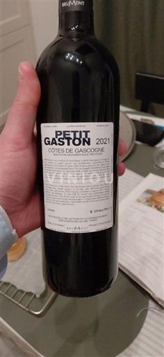 Sudoeste Côtes de Gascogne Alain Brumont Petit Gaston 2021