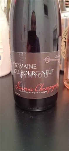 Vallée de la Loire Saumur-champigny Domaine Bourg Neuf Non Millésimé