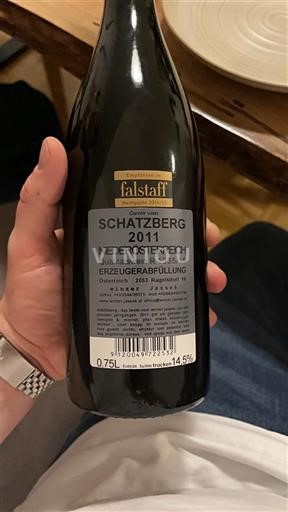 Нижня Австрія Не вказано SCHATZBERG 2011