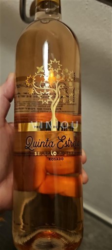 Comunità Valenciana Valencia Quinta Estrella 2024