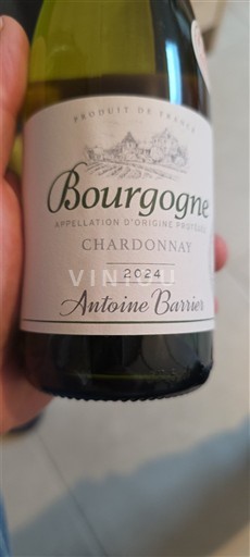 Burgundsko Antoine Barrier 2024