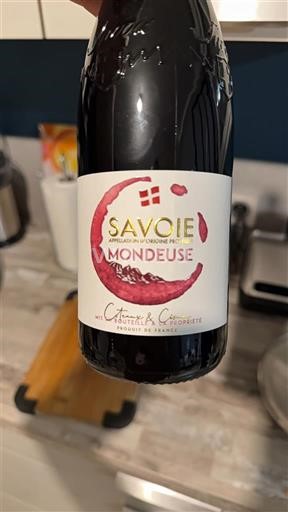 Savoyen und Bugey Savoie (Wein aus) Cottini & Cie 2024