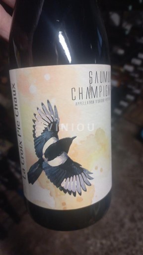 Loiren laakso Saumur-champigny La Croix Pic Chaux Ei vuosikertaa