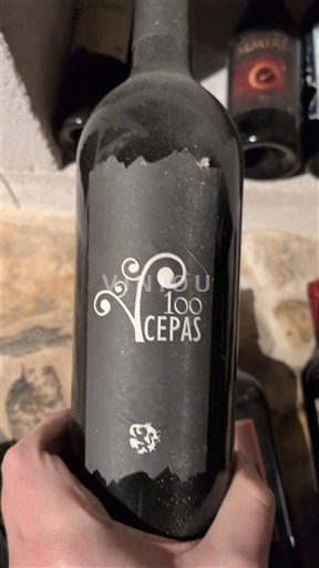Castile and León Ribera del Duero 100 Cepas 2008