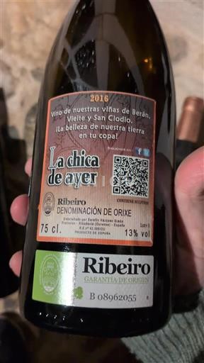 Галісія О Рібейро La chica de ayer 2016