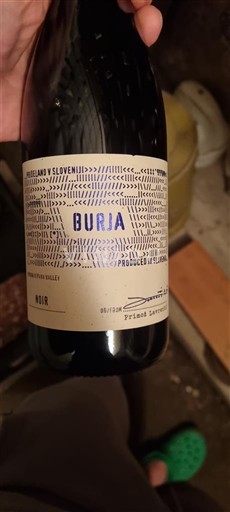 Долина Віпава Burja 2022