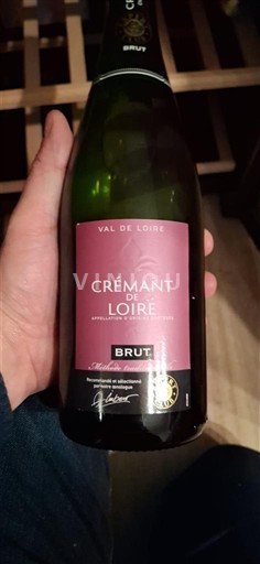 Valle della Loira Crémant-de-Loire Caves des Perrières Senza annata