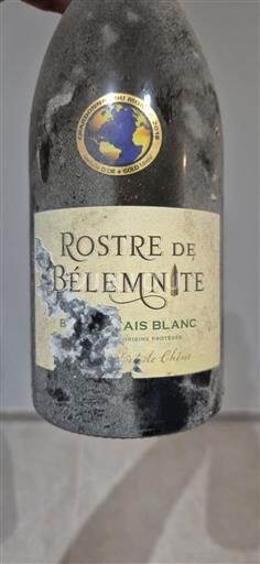 Loire-dalen Muscadet-Sèvre-et-Maine Rostre de Bélemnite 2016