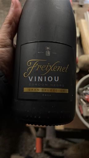 Catalogna Cava Freixenet Cordon Negro Gran Seleccion Senza annata