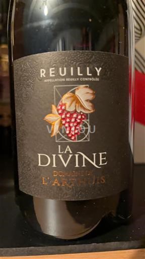 Vale do Loire Reuilly Domaine L'Arthuis La Divine 2023
