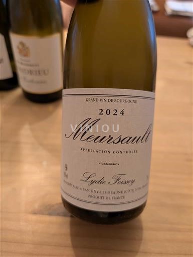 Burgundi Meursault Château Savigny-lès-Beaune Lydie Foissey 2024