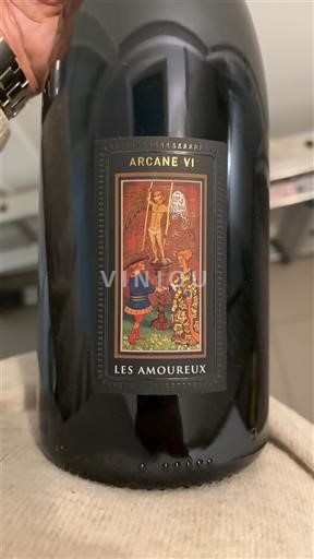 Wines Rouge sec Arcane VI Les Amoureux Xavier Vignon 2016 France Rhône Valley Côtes-du-Rhône AOC