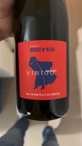 Wines Rouge sec Gargoui Domaine Rouge-Bleu 2023 France Rhône Valley Côtes-du-Rhône AOC