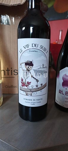 Jugozahod Gaillac Domaine In Vintis Le Vif du Sujet 2024