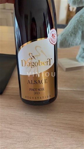 Vini Rouge sec Dégustation Saint Dagobert 2023 Francia Alsazia Vin de France
