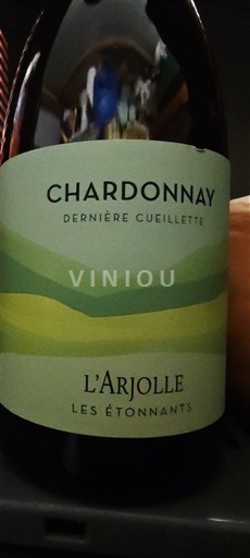Languedoc-Roussillon Côtes de Thongue L'Arjolle Dernière Cueillette Non-Vintage