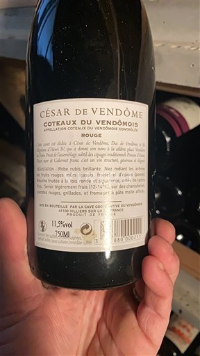 Valle del Loira Coteaux del Vendômois Cave Coopérative du Vendômois César de Vendôme 2017