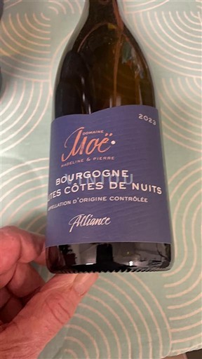 Бургундія Не вказано Domaine Noë Alliance 2023