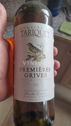 Lounais-Ranska Gascognen rinteet Domaine Tariquet Premières Grives 2016
