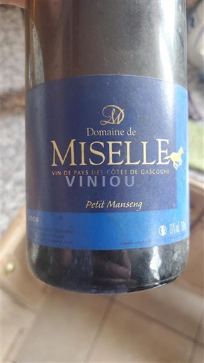 Jugozahod Côtes de Gascogne Domaine Miselle Petit Manseng Neleten.