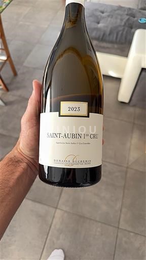 Burgundija Saint-Aubin Premier Cru Domaine Bachey-Legros 2023