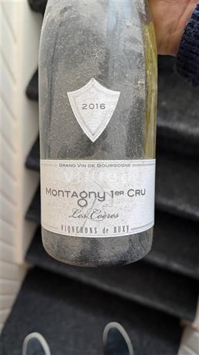 Bourgogne Ikke specificeret Premier Cru Vignerons de Buxy Les Coères 2016